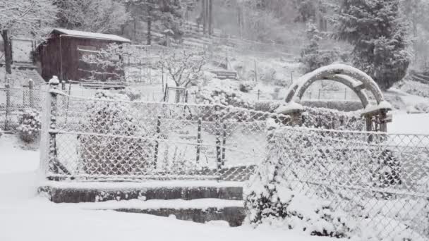 Vue Beau Paysage Hivernal Dans Des Chutes Neige Silencieuses — Video