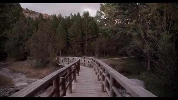 Holzbrücke Friedlicher Landschaft — Stockvideo