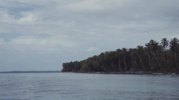 Νερό Κοντά Στην Ακτή Φοίνικες — Αρχείο Βίντεο