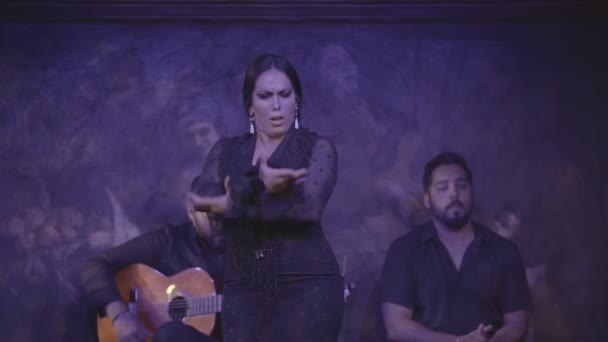 Występ Flamenco Scenie — Wideo stockowe