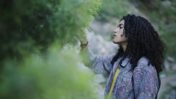 Etnisk Kvinna Som Rör Vid Små Växter — Stockvideo