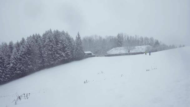 Vista Bela Paisagem Inverno Pessoas Silenciosas Neve Caminhando Para Longe — Vídeo de Stock