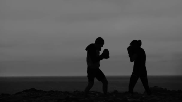 Sylwetki Anonimowych Bojowników Ćwiczących Kickboxing Przeciwko Morzu Ciemnemu Niebu Wieczorem — Wideo stockowe