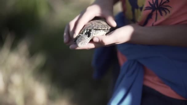 Plantaardige Kinderen Bevrijden Schildpad Water — Stockvideo