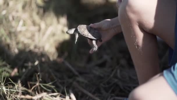 Дети Земледельцы Освобождают Черепаху Воде — стоковое видео