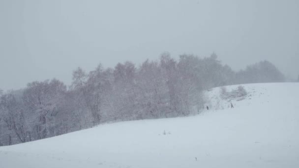 Pohled Krásnou Zimní Krajinu Tichém Sněžení Lidé Chůze Daleko — Stock video