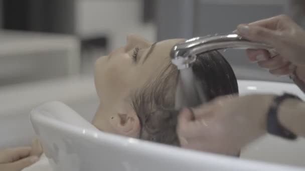 Styliste Lavage Des Cheveux Jeune Femme — Video