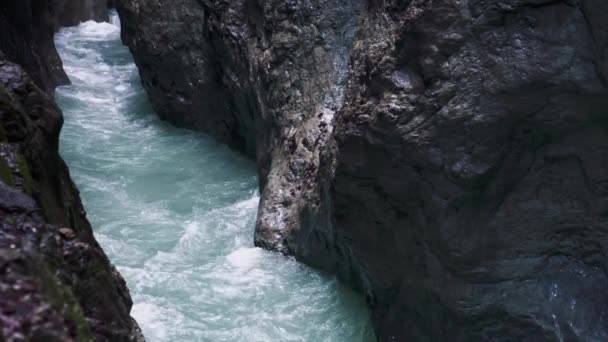 Rivière Montagne Rapide Dans Ravin — Video