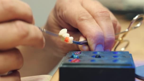 Crop Dentista Pintura Ponte Dental Com Cerâmica — Vídeo de Stock