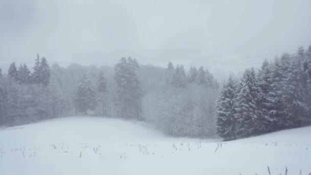 Άποψη Του Όμορφου Χειμερινού Τοπίου Σιωπηλή Χιονόπτωση — Αρχείο Βίντεο