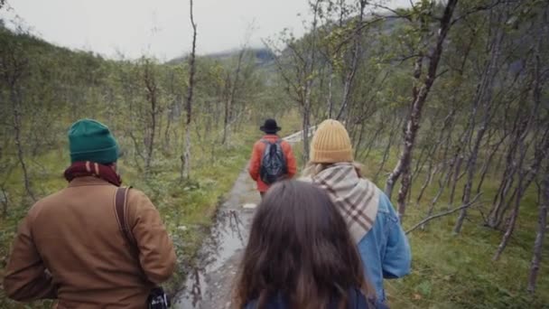 Groupe Voyageurs Marchant Sur Sentier — Video