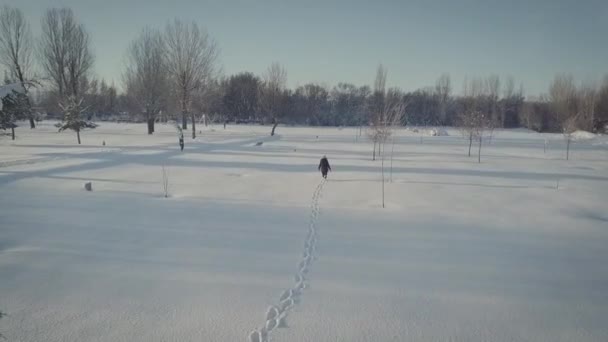 Back View Female Going Snow Terrain Green Firs Picturesque Sky — Stock Video