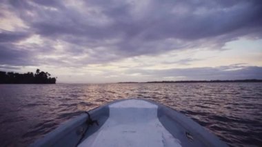 Sakin sularda süzülen beyaz tekne gagasının görüntüsü. Mavi su ve güneş ışığı altında egzotik deniz kıyısı, Panama.