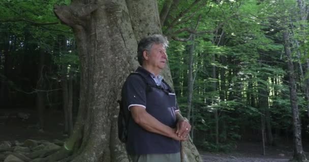 Idősebb Ember Aki Erdőt Szemléli Pihenés Közben — Stock videók