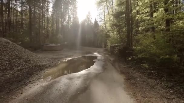 Sonne Scheint Über Waldweg — Stockvideo