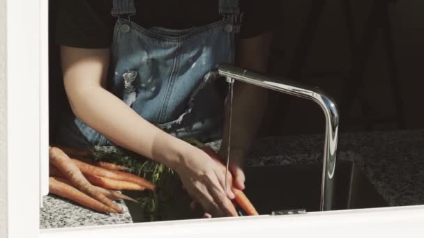 Αγροτική Γυναίκα Χέρια Πλύσιμο Καρότο — Αρχείο Βίντεο