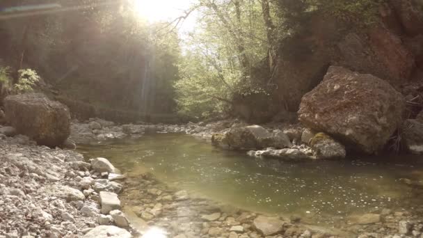 Kamenitá Řeka Rakousku — Stock video