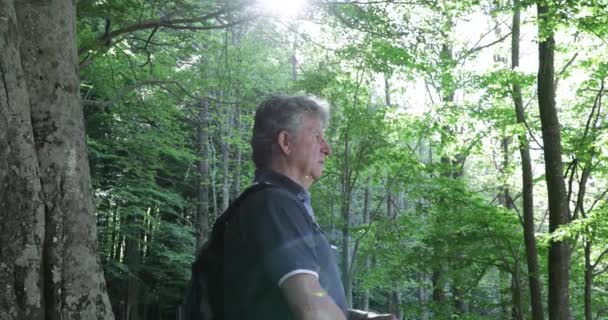 Hombre Mayor Contemplando Bosque Mientras Descansa — Vídeo de stock