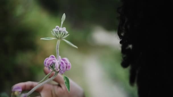 在自然界中扮演紫罗兰花的黑庄稼女孩 — 图库视频影像