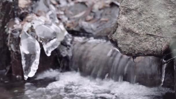 Închiderea Fluxului Țărm Înghețat — Videoclip de stoc