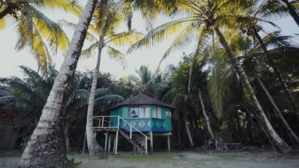 Όμορφο Τροπικό Τοπίο Καταπράσινους Φοίνικες Ήρεμη Παραλία Απομακρυσμένο Σπίτι Παναμάς — Αρχείο Βίντεο