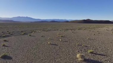 Arjantin 'deki Andean Altiplano' sunun uçsuz bucaksız görüntüsü vahşi guanaco atlayışı ve uzaktan görülen dramatik manzarayı ve insansız hava aracı perspektifinden doğal yaşamı gösteriyor..