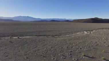 Arjantin, La Puna 'daki Andean Altiplano' nun engin ve kurak arazisinde otlayan guanacos 'un havadan görünüşü. Sahne, bölgenin eşsiz yaban hayatını ve engebeli manzarasını yakalıyor..