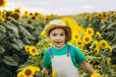 Güneş şapkası takan neşeli genç bir çocuk neşeli bir ayçiçeği tarlasında yürüyor tasasız bir çocukluk ve doğanın güzelliğini yakalıyor..