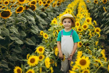 Şapkalı ve tulumlu genç bir çocuk güneşli bir günde neşeli bir ayçiçeği tarlasını keşfediyor. Gülüşü ve parlak çiçekleri tasasız çocukluğunun özünü yakalar..
