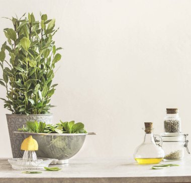 Çağdaş mutfak gıda arka planı, saksıda otlar, metal elek ve malzemelerde ıspanak yaprakları: limon, zeytin yağı, beyaz duvar arkasında bitkisel tuz ve biber.