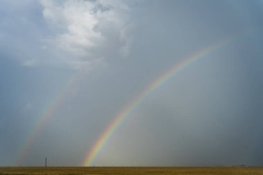 Muhteşem bir çift gökkuşağı genişleyen altın bir tarlanın üzerindeki gökyüzünü süslüyor. Canlı renkler, karamsar gökyüzü ile güzel bir tezat oluşturuyor. Huzurlu ve büyüleyici bir sahne yaratıyor..