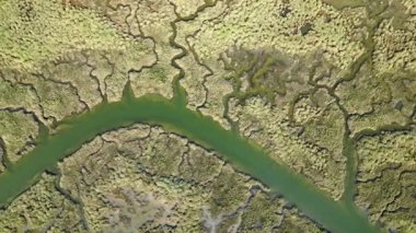 İspanya 'nın Huelva kentindeki Guadalquivir Bataklıkları' nın karmaşık su yolları ve verimli bitki örtüsünün çarpıcı hava manzarası bölgenin eşsiz doğal güzelliğini ve biyolojik çeşitliliğini gözler önüne seriyor..