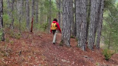 Kırmızı ceketli ve sarı sırt çantalı bir kadın, uzun ağaçlar ve doğal güzelliklerle çevrili sakin orman patikalarında yürüyüş yapar. Macera ve özgürlük ruhunu somutlaştırır..