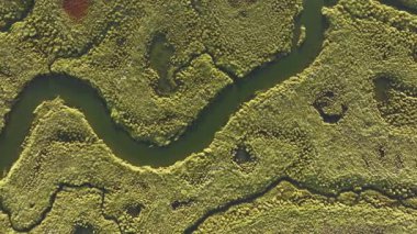 İspanya 'nın Huelva kentindeki Guadalquivir Bataklıkları' nın hava manzarası karmaşık su yollarını ve yemyeşil manzaraları gözler önüne seriyor. Canlı ekosistem vahşi yaşam ve doğa meraklıları için bir sığınaktır..