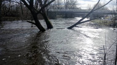 Estonya 'nın Keila kentindeki Keila Nehri' nin sularıyla dolu.
