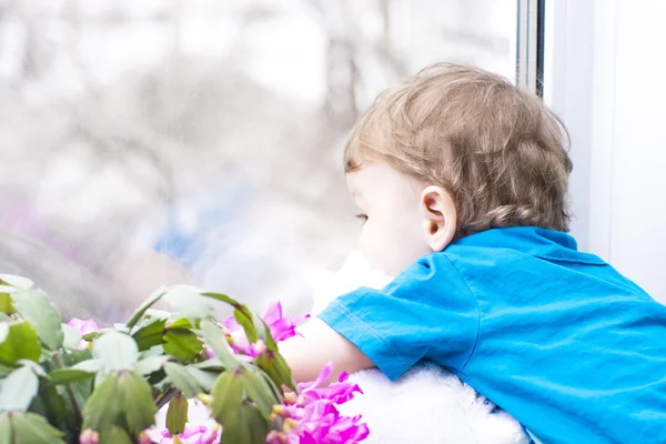 Kleine jongen kijkt uit het raam — Stockfoto