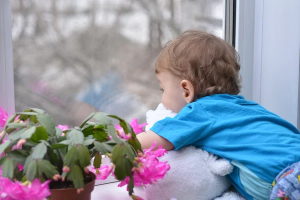 Niño pequeño mirando por la ventana — Foto de Stock