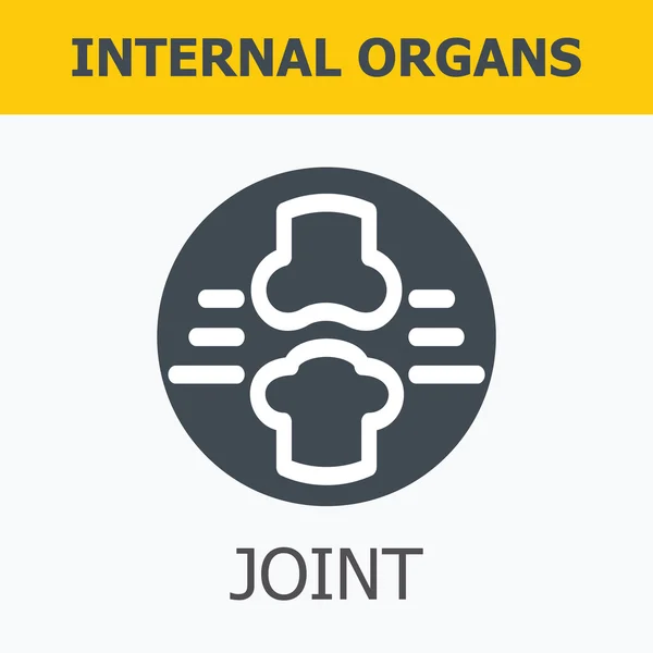 Órgãos internos - articulação . —  Vetores de Stock