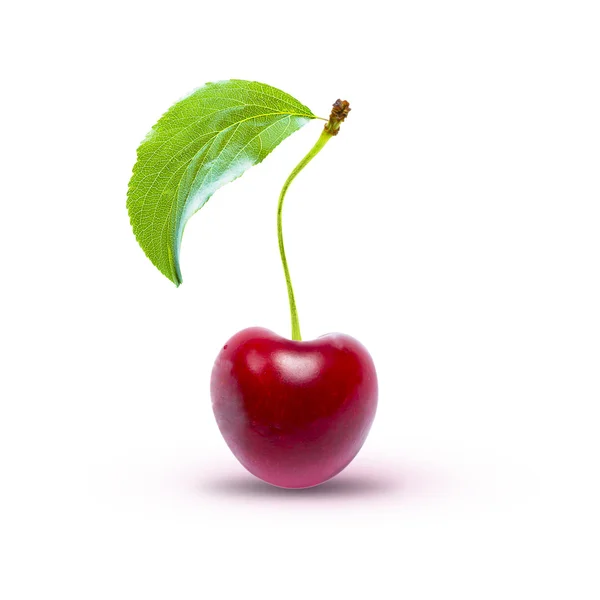 Cherry na białym tle na białym ze ścieżką przycinającą — Zdjęcie stockowe