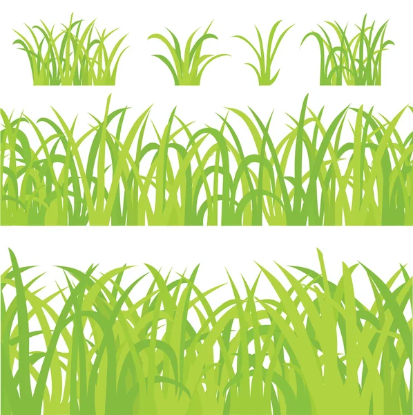 Grande erba verde, isolato su sfondo bianco — Vettoriale Stock