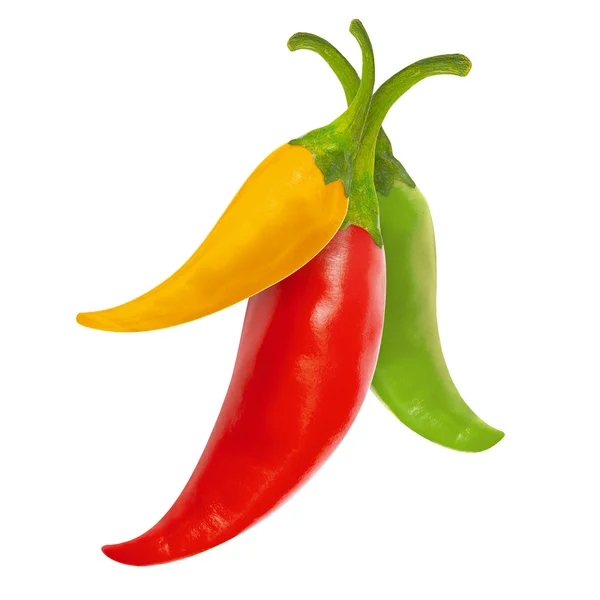 Flerfärgad varm chilipeppar — Stockfoto