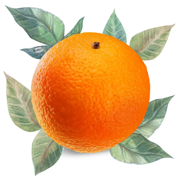 Pomarańczowy biały ze ścieżką przycinającą — Zdjęcie stockowe