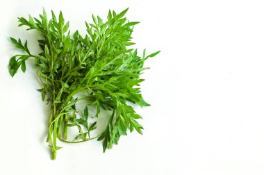 Ulam Raja Kenikir Cosmos Caudatus Beyaz Arkaplan ve Yer 'i metin için izole etti