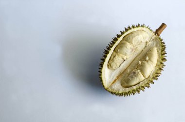 Beyaz Arkaplanda Kral Fruit Durian Durio Zibethinus ve Solda Metin İçin Yer