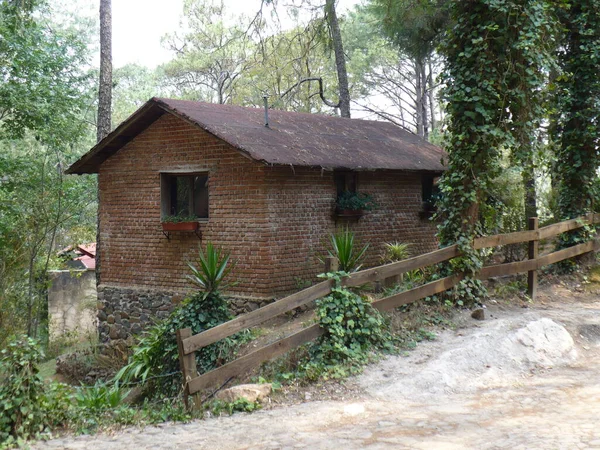 Casa Campo Ladrillo Rojo Medio Del Bosque Rodeada Naturaleza — стокове фото