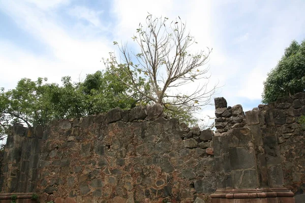 Arbol Incrustado Las Rocas Las Ruinas Del Muro Antiguo Templo — Foto de Stock