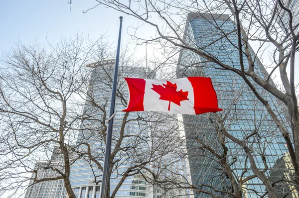 Flaggor av Kanada i Montreal downtown, Quebec, Kanada — Stockfoto