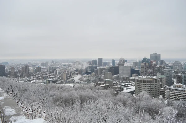 Montreal centro nevoso — Foto Stock