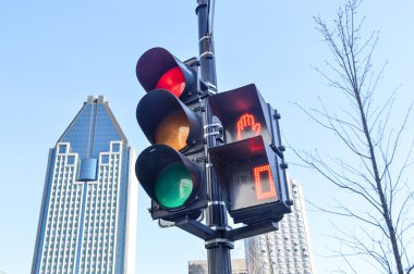 Montreal şehir merkezinde trafik ışığı yeşil renk.
