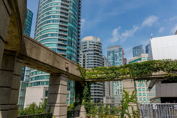 Toronto Kanada Devasa Pencere Balkonları Olan Modern Apartman Binaları Inşa Stok Fotoğraf